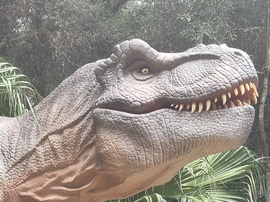 Vale Dos Dinossauros-卡内拉必去景点