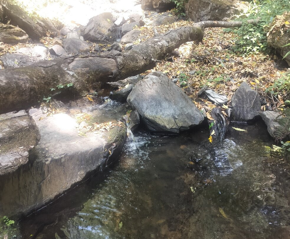 坡贡特胜地主图
