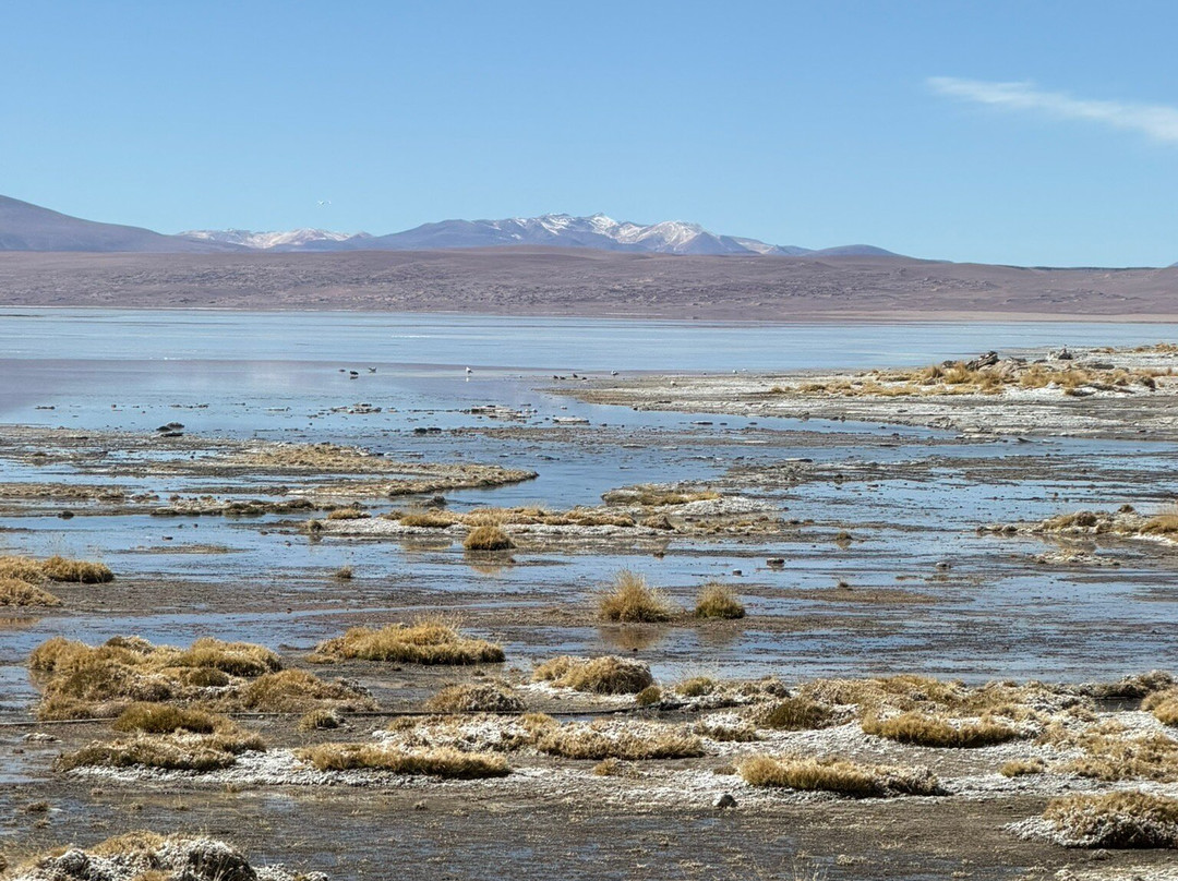 Andes Salt Expeditions Tour Operator-乌尤尼必去景点