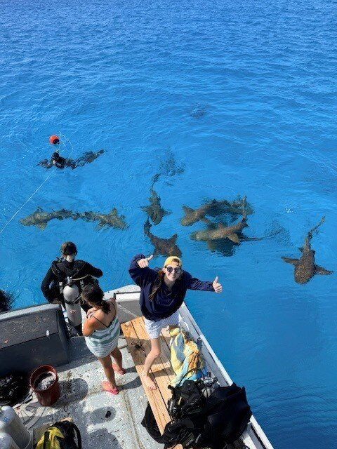 Neal Watson's Bimini Scuba Center-Alice Town必去景点