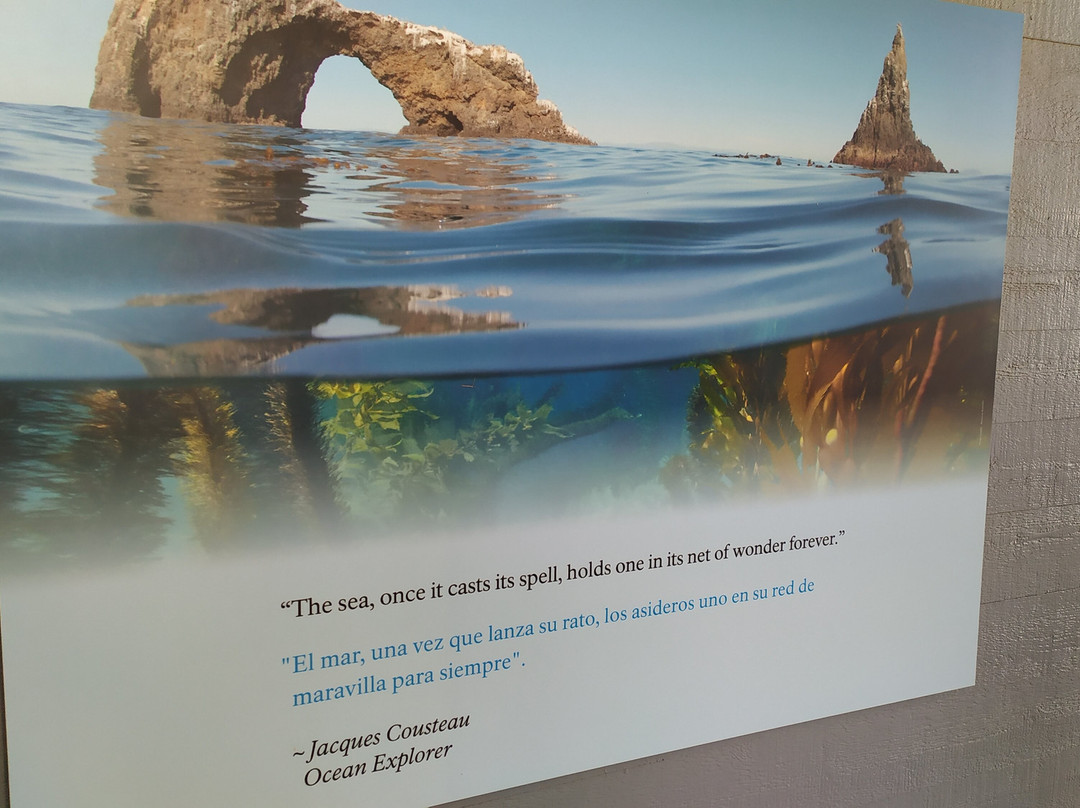 The Robert J. Lagomarsino Visitor Center at Channel Islands National Park-文图拉县必去景点