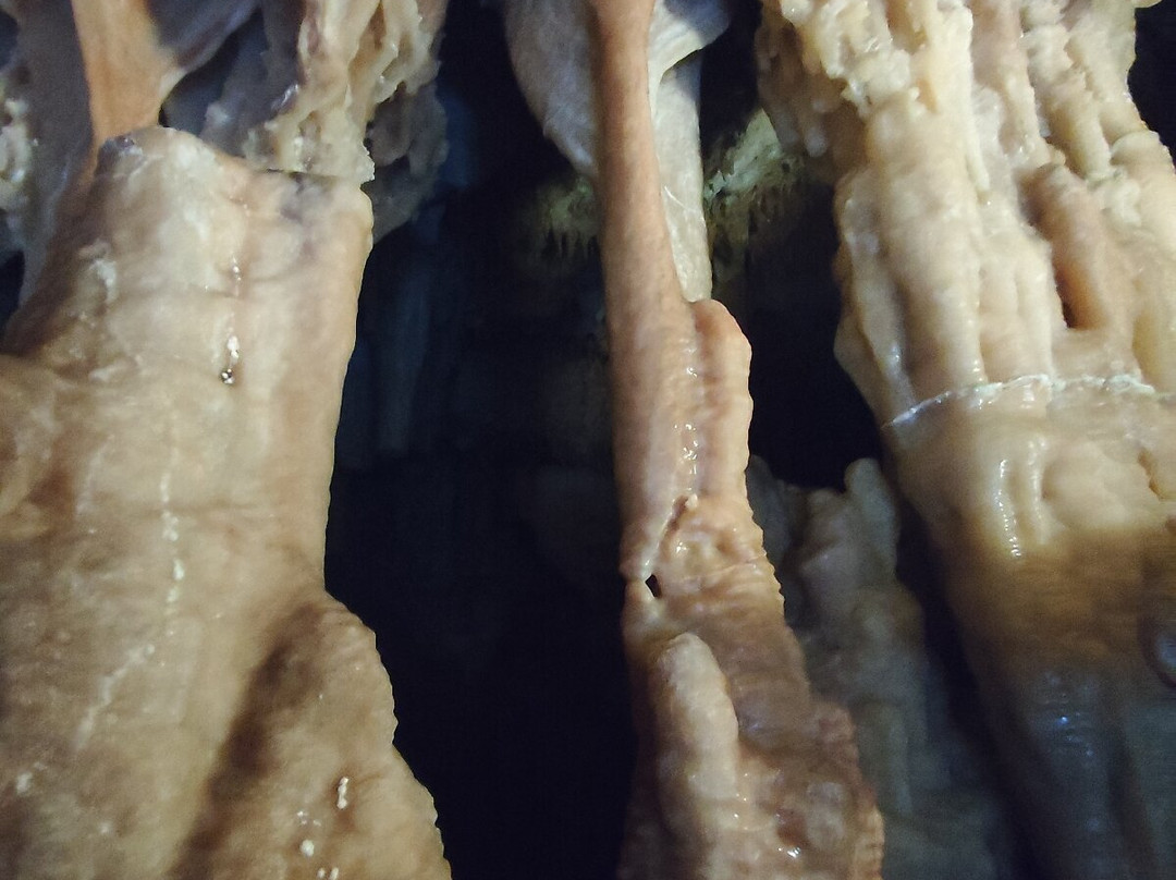 Grotta del Trullo-Putignano必去景点