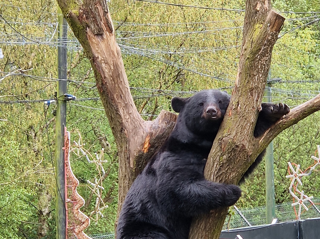 Five Sisters Zoo-West Calder必去景点