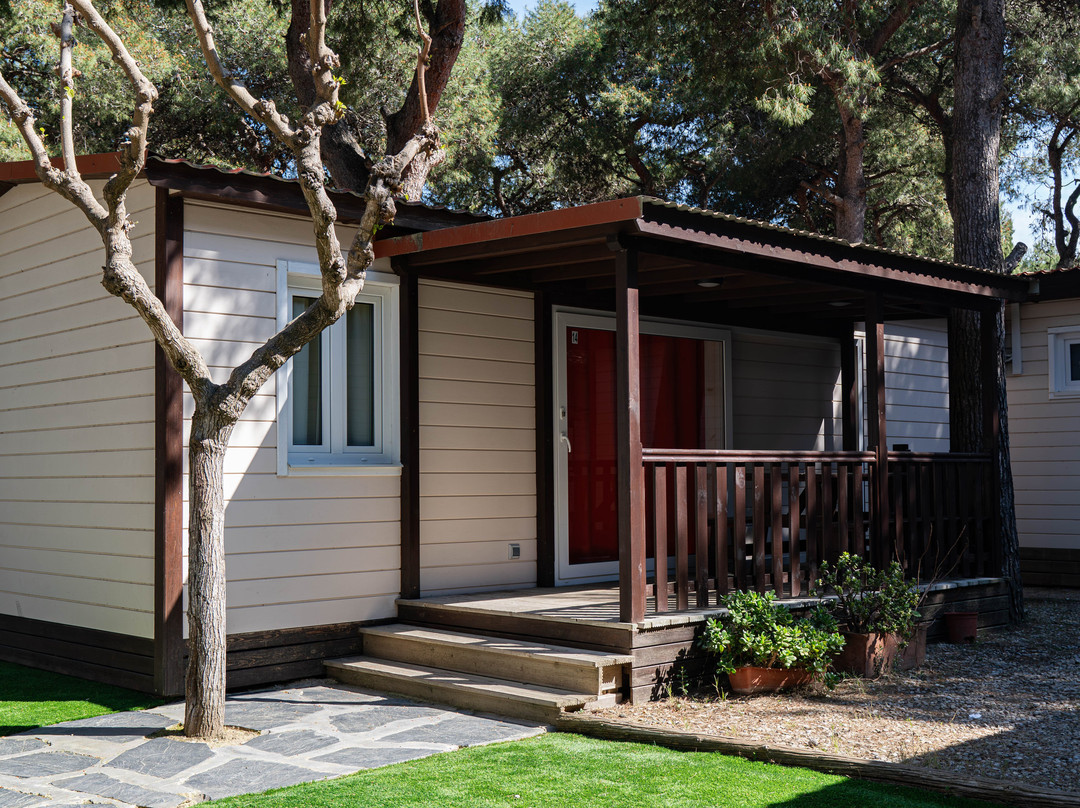 Camping Platja Vilanova