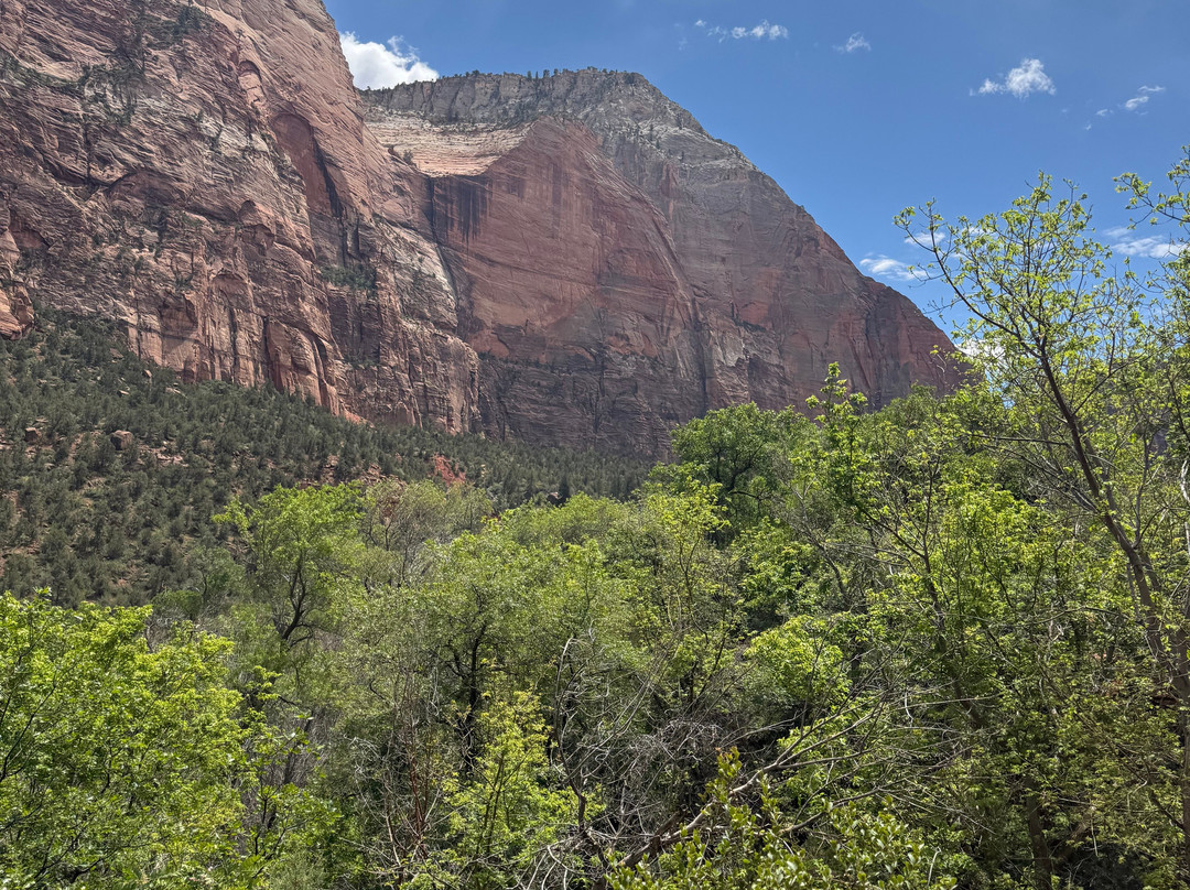 Canyon Trail Rides-锡安国家公园必去景点