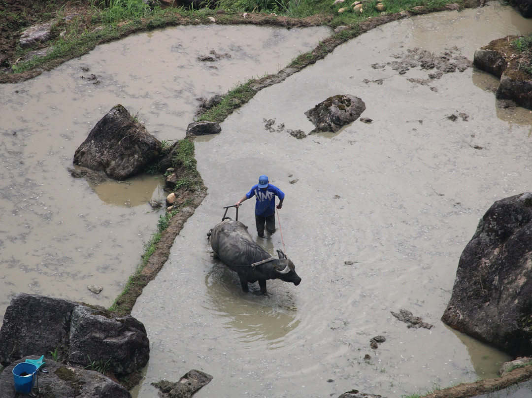 Trekking Tour Sapa-沙巴必去景点