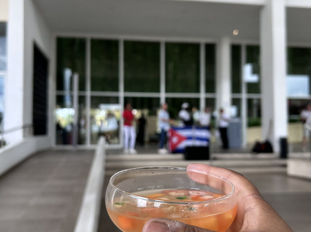 索利马尔酒店主图