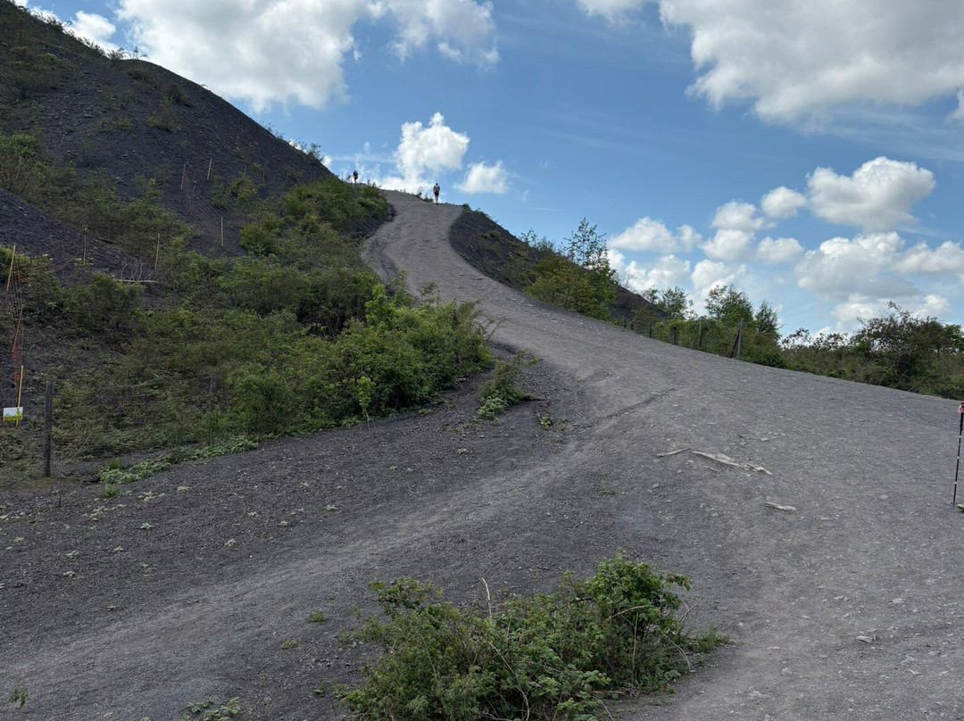 Terril De Loos En Gohelle-Loos en Gohelle必去景点