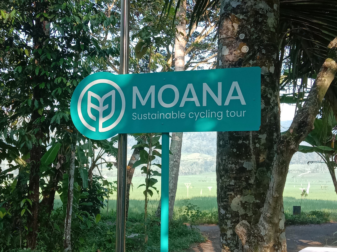 Moana - Sustainable Cycling Tour-Yogyakarta必去景点