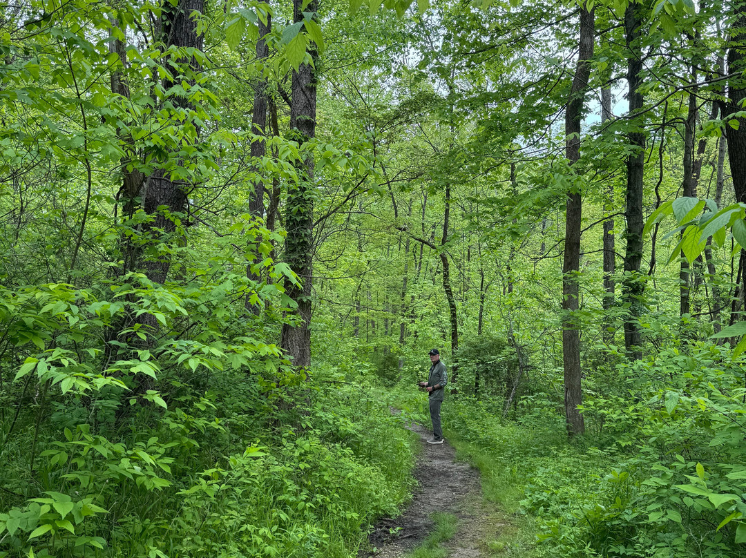 Versailles State Park-Versailles必去景点