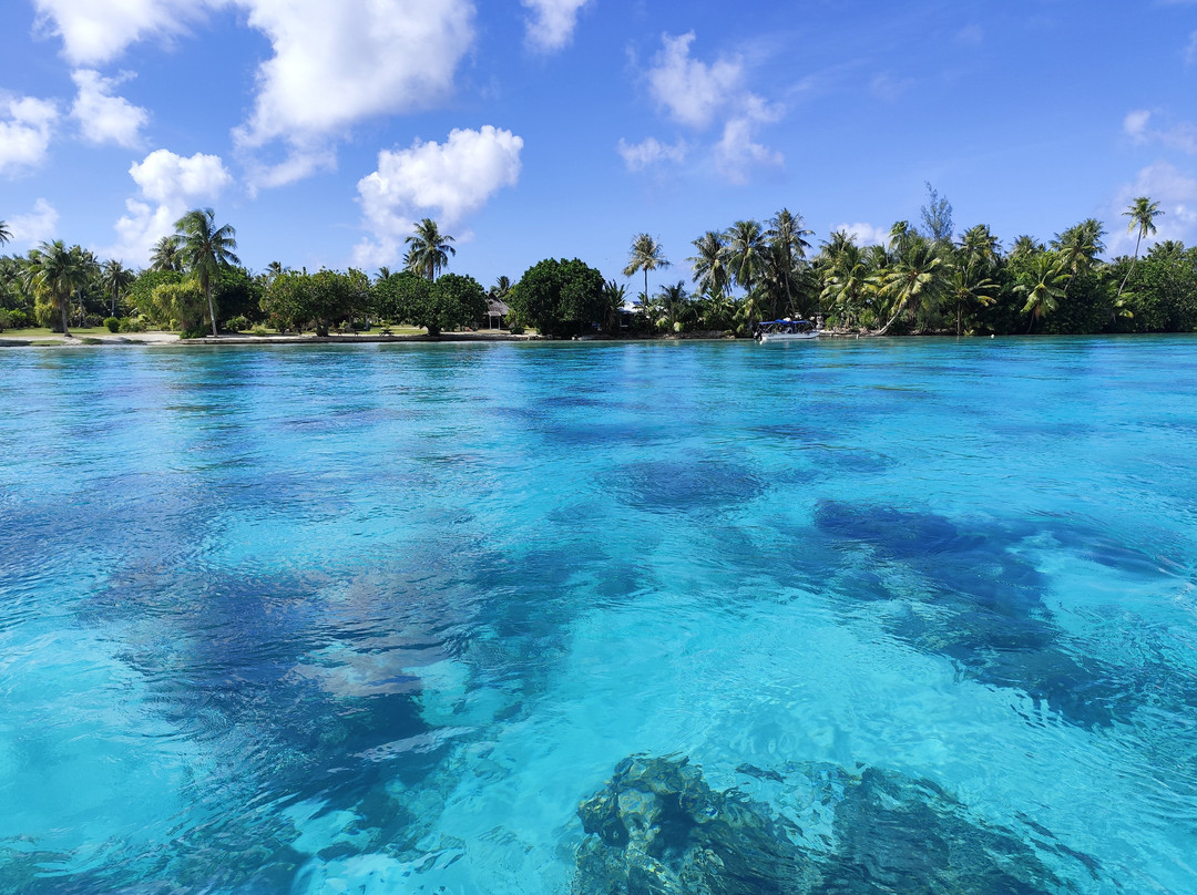 Huahine Dream Tours-Huahine必去景点