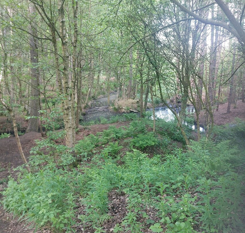 Delamere Forest-Delamere必去景点