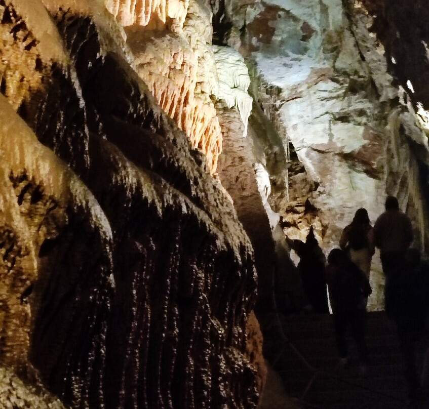 Grotte de Dargilan-Meyrueis必去景点