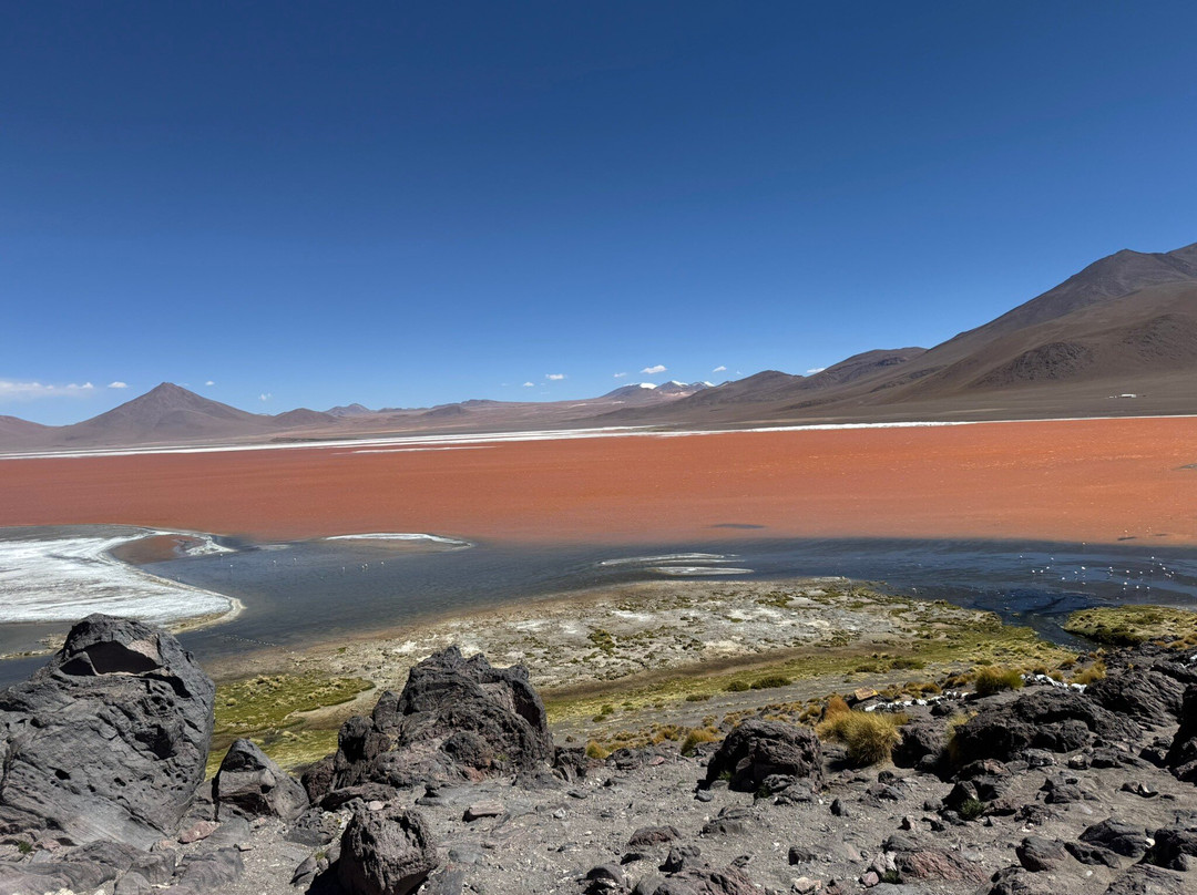 Laguna Colorada-乌尤尼必去景点