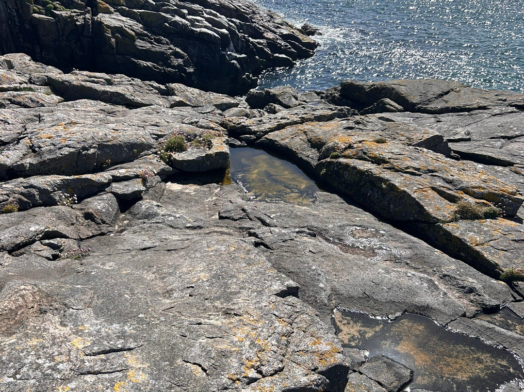 Hebridean Sea Tours-Castlebay必去景点