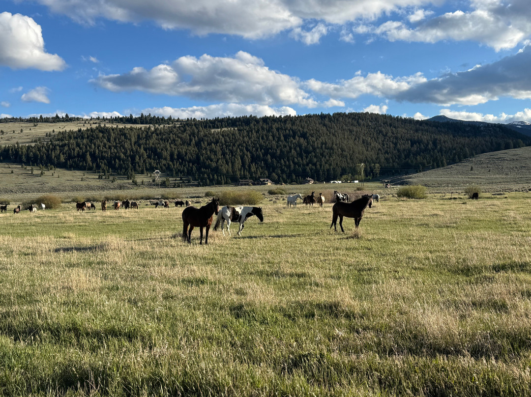 Silver Spur Ranch Idaho