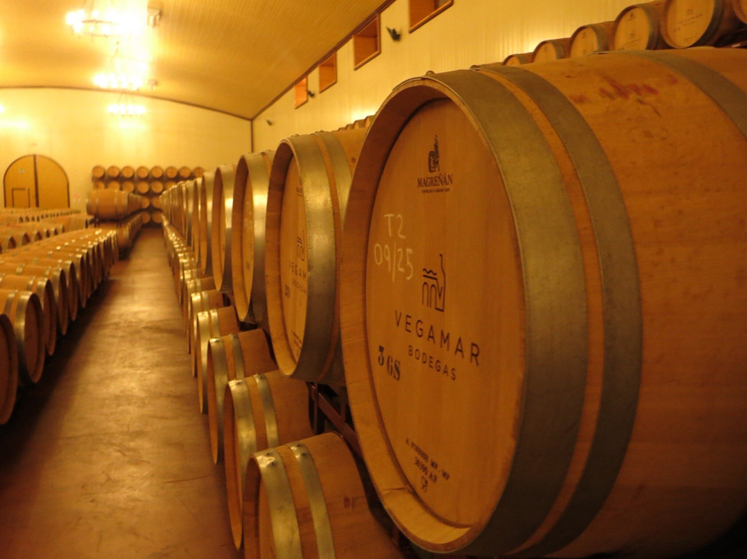 Vegamar Bodegas-Calles必去景点