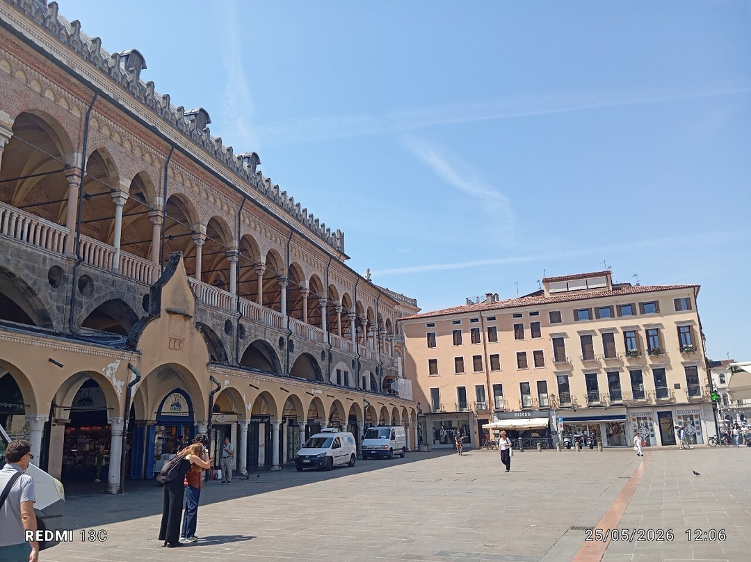 Piazza della Frutta-帕多瓦必去景点