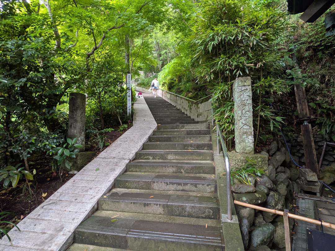 Hase-dera Temple Scenic Walkway-镰仓市必去景点