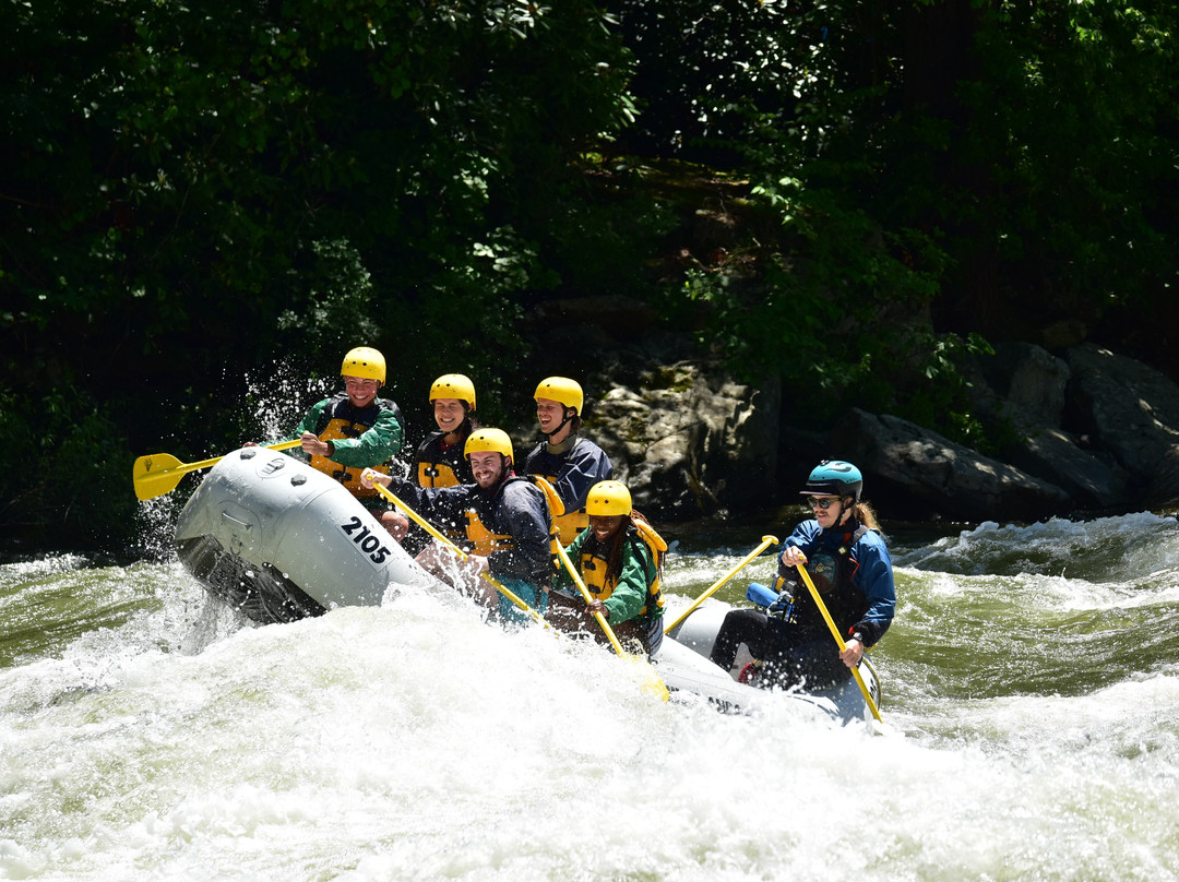 Laurel Highlands River Tours & Outdoor Center-Ohiopyle必去景点