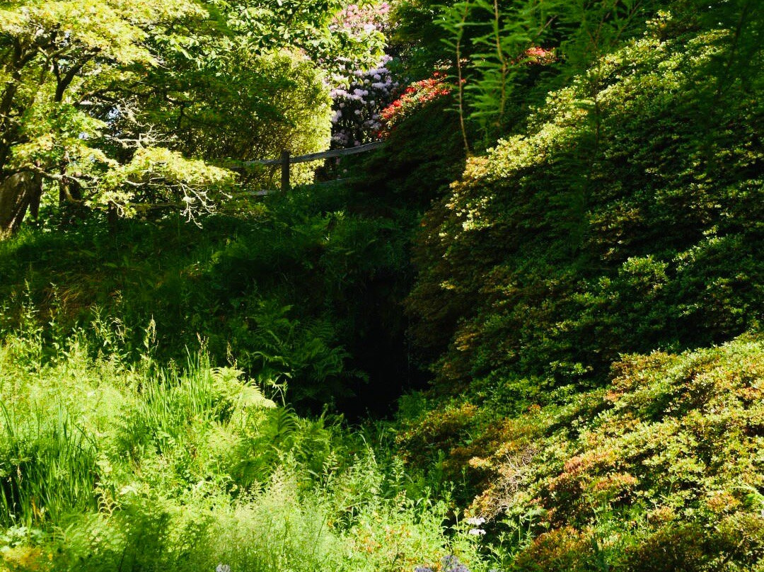 Kew Wakehurst-Haywards Heath必去景点