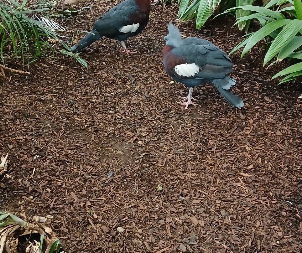 Belfast Zoo-Newtownabbey必去景点