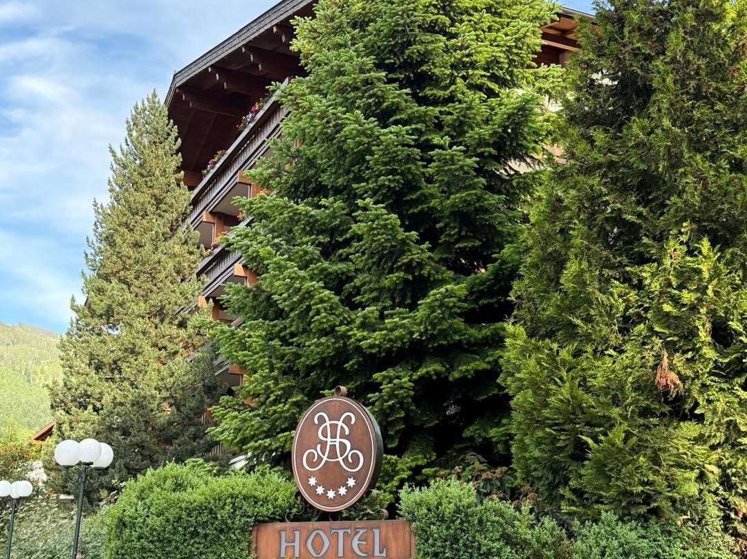 萨尔茨堡酒店主图