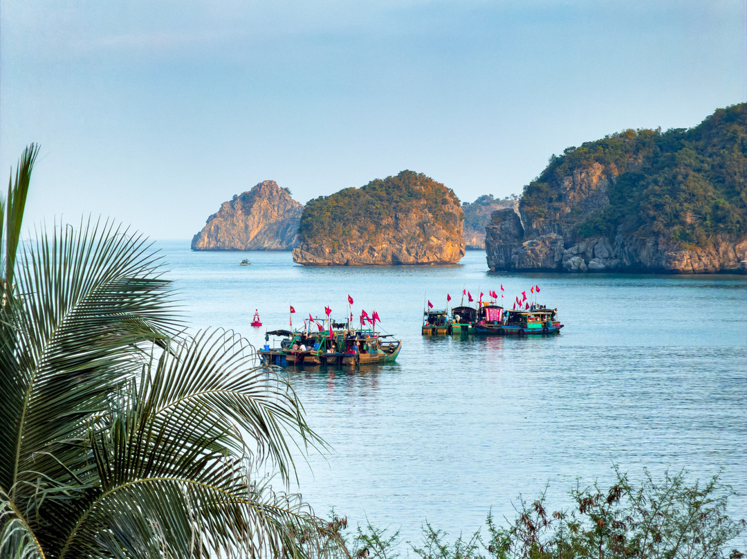 Lan Ha Bay-卡巴必去景点