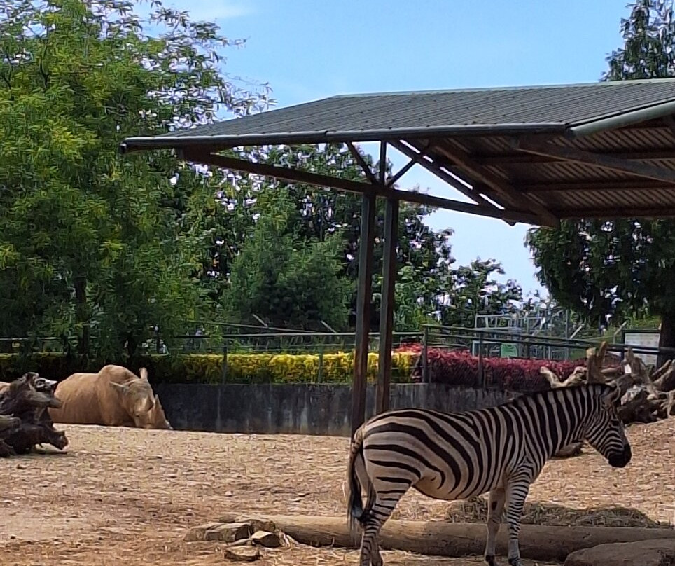Zoo Santo Inácio-加亚新城必去景点