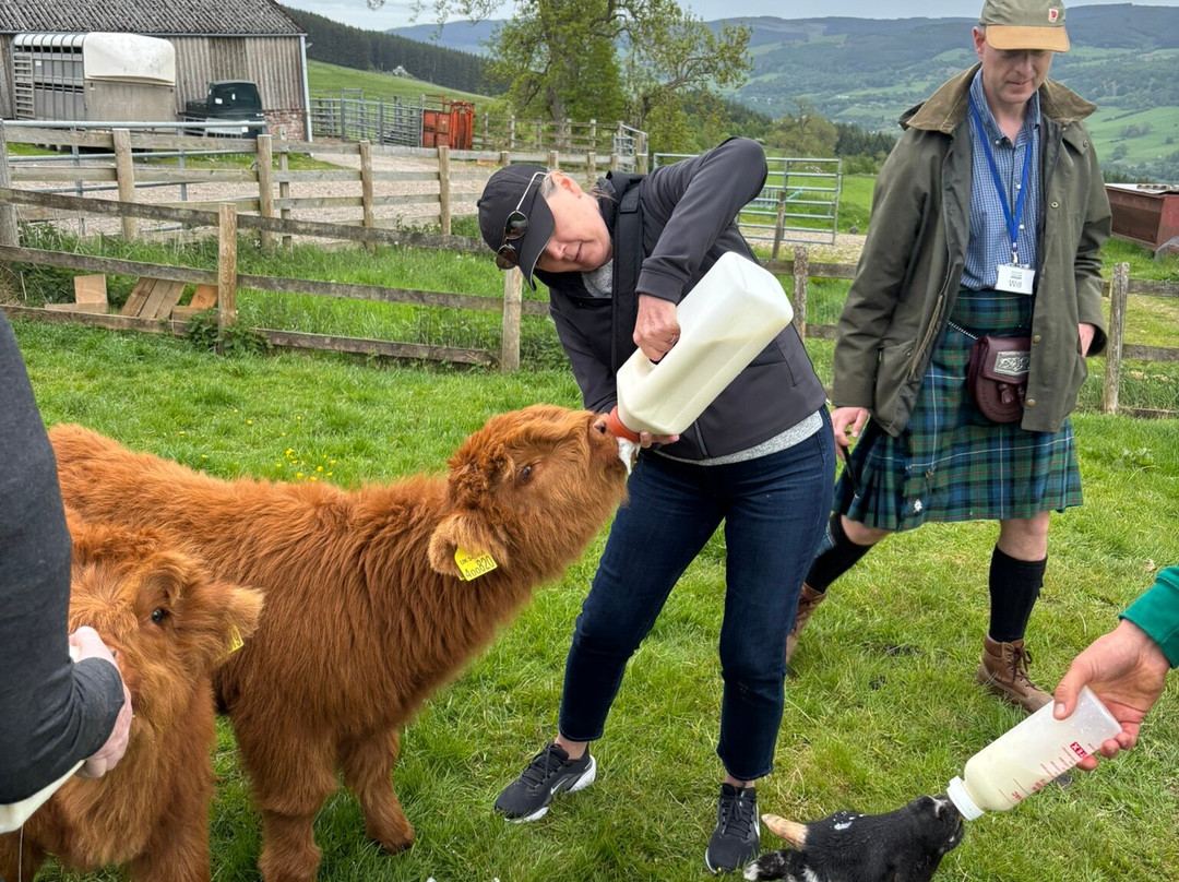 Lurgan Farm-Aberfeldy必去景点