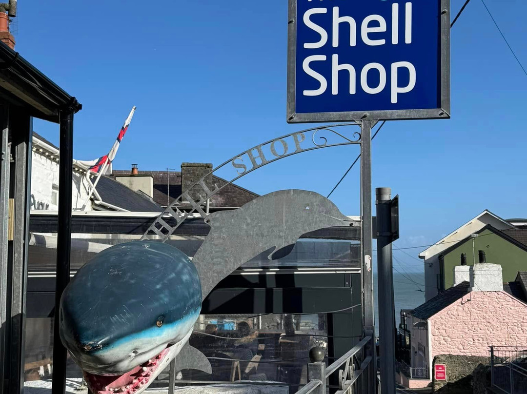 The Shell Shop-纽基必去景点