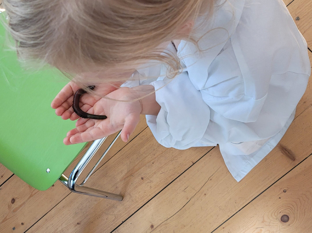 Nationalpark-Haus Carolinensiel-Carolinensiel必去景点