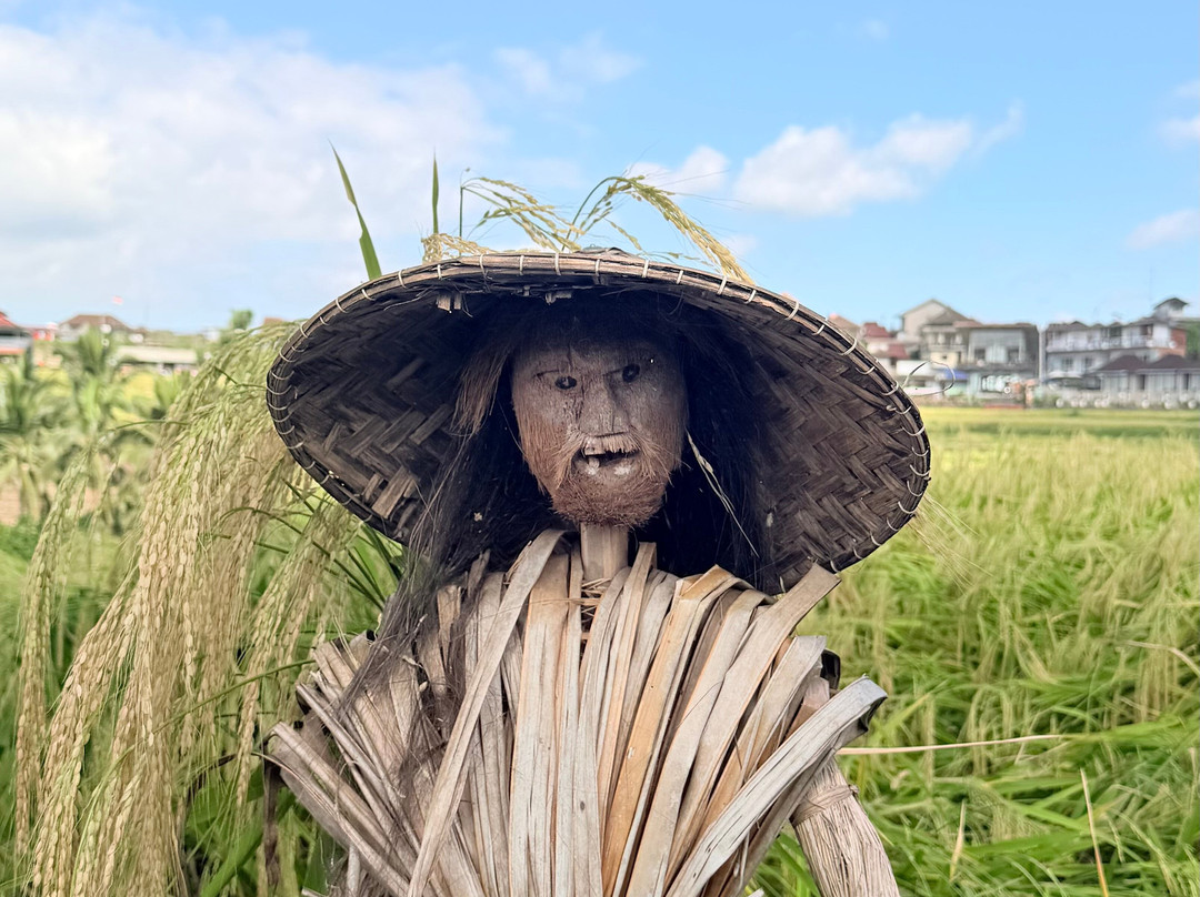 Bali Life Tours-乌布必去景点