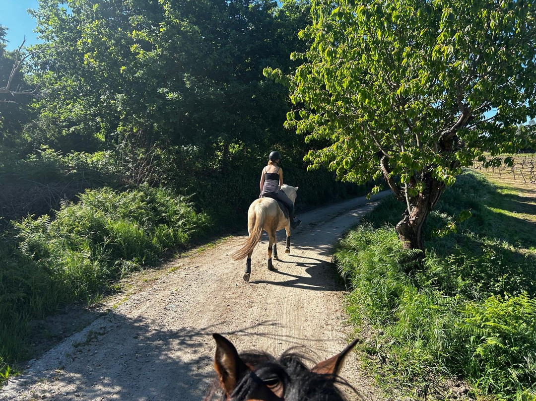 ATV & Horse Tours Central Portugal-Nogueira do Cravo必去景点