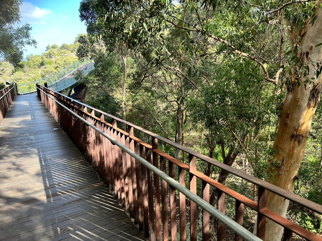 Greater Perth旅游景点-国王公园及植物园