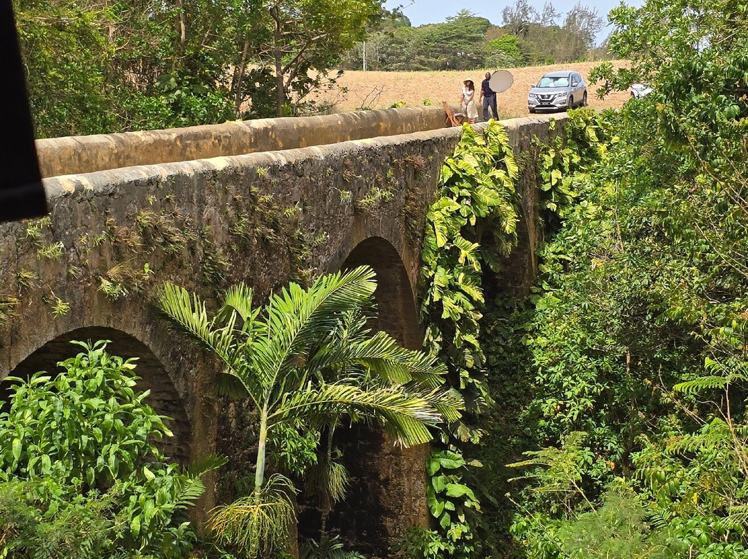 Island Safari Barbados-Saint Michael Parish必去景点