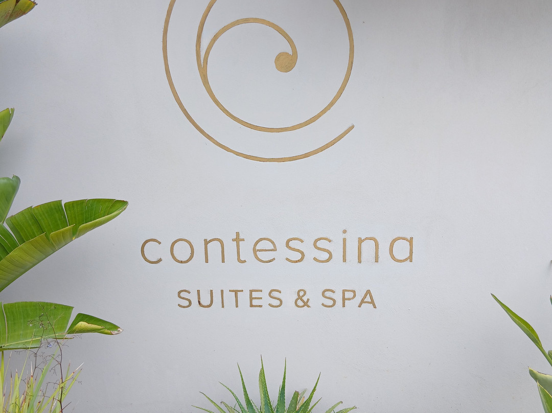 康缇希纳 SPA 套房酒店主图