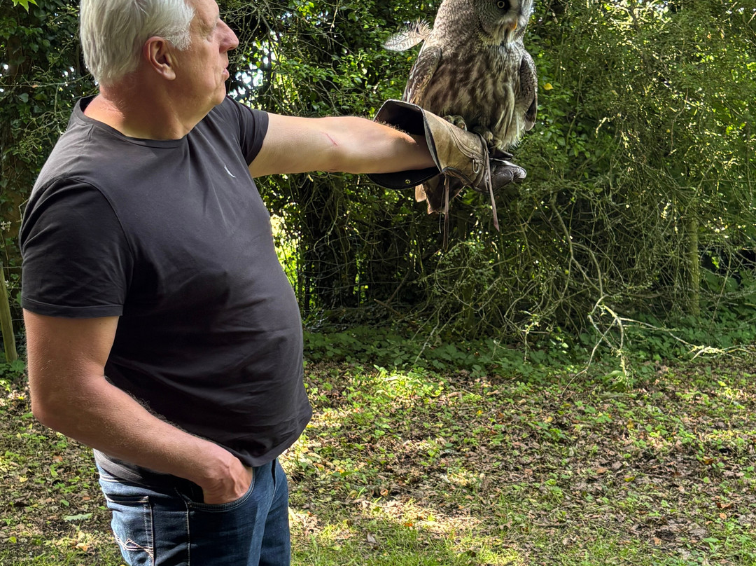 Willows Bird of Prey & Wildlife Trail-Knockholt必去景点