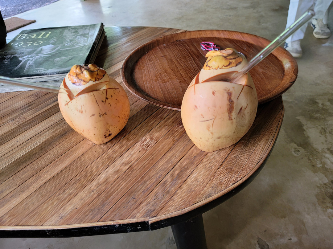 巴厘岛隐居生态竹屋主图