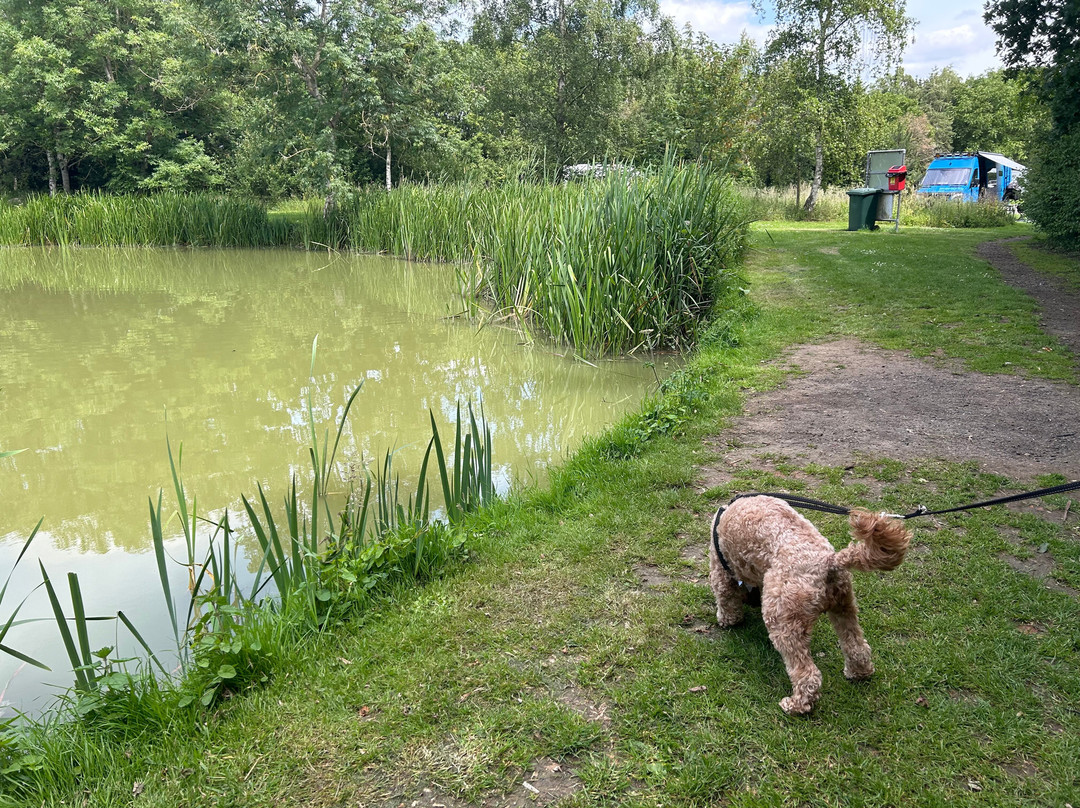 Glebe Leisure caravan and Fishing Lakes-Bicester必去景点