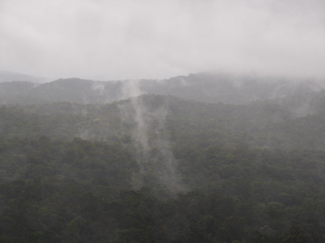 Skyrail Rainforest Cableway-Smithfield必去景点