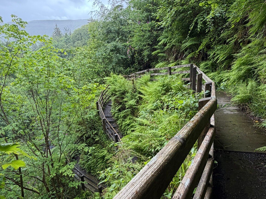 Glenariff Forest Park-County Antrim必去景点