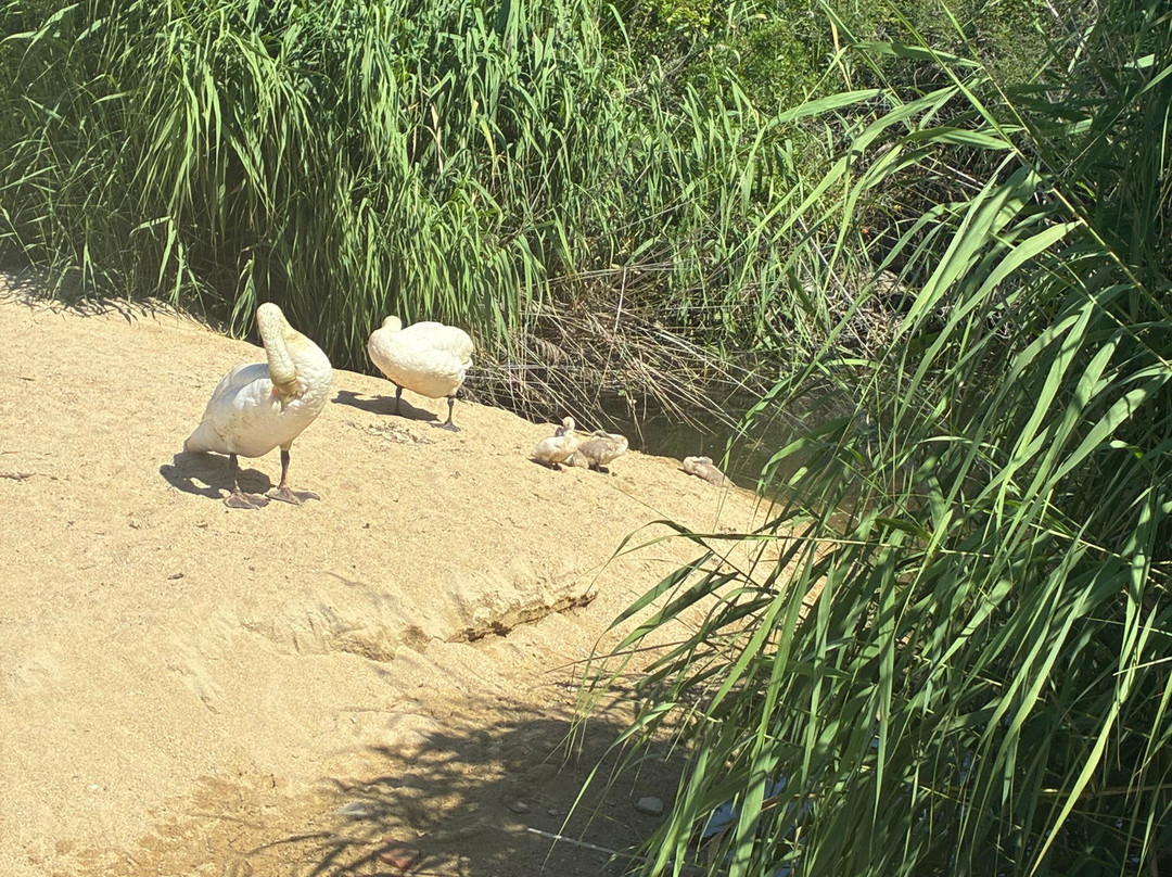 Troulos Beach-Troulos必去景点