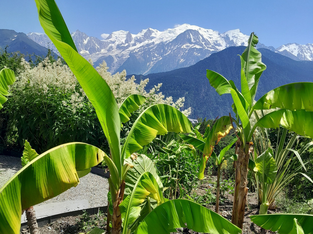 Jardin des Cimes-帕西必去景点