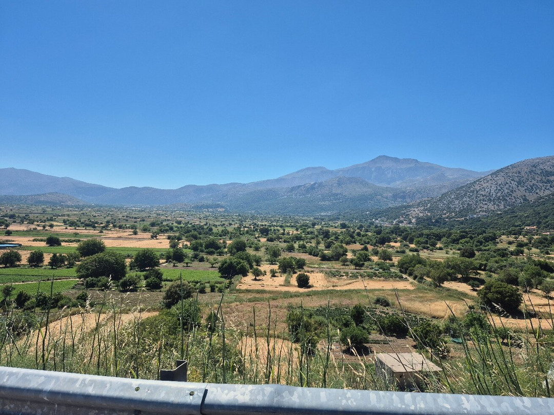 Safari Experts Crete-马利亚必去景点