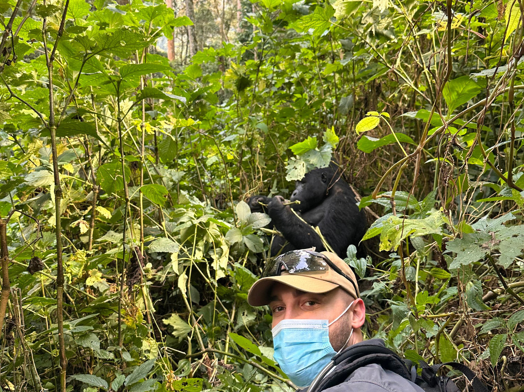 Go Gorilla Trekking-吉佳利必去景点