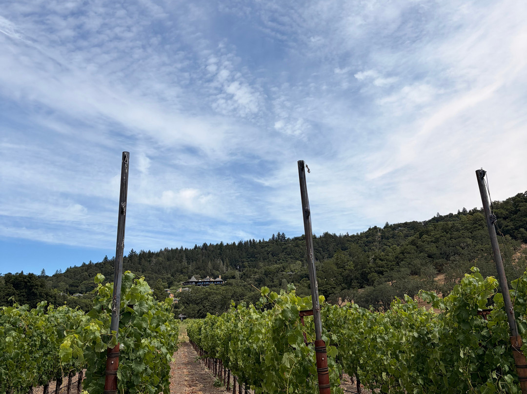 Rutherford Ranch Winery-圣海伦娜必去景点