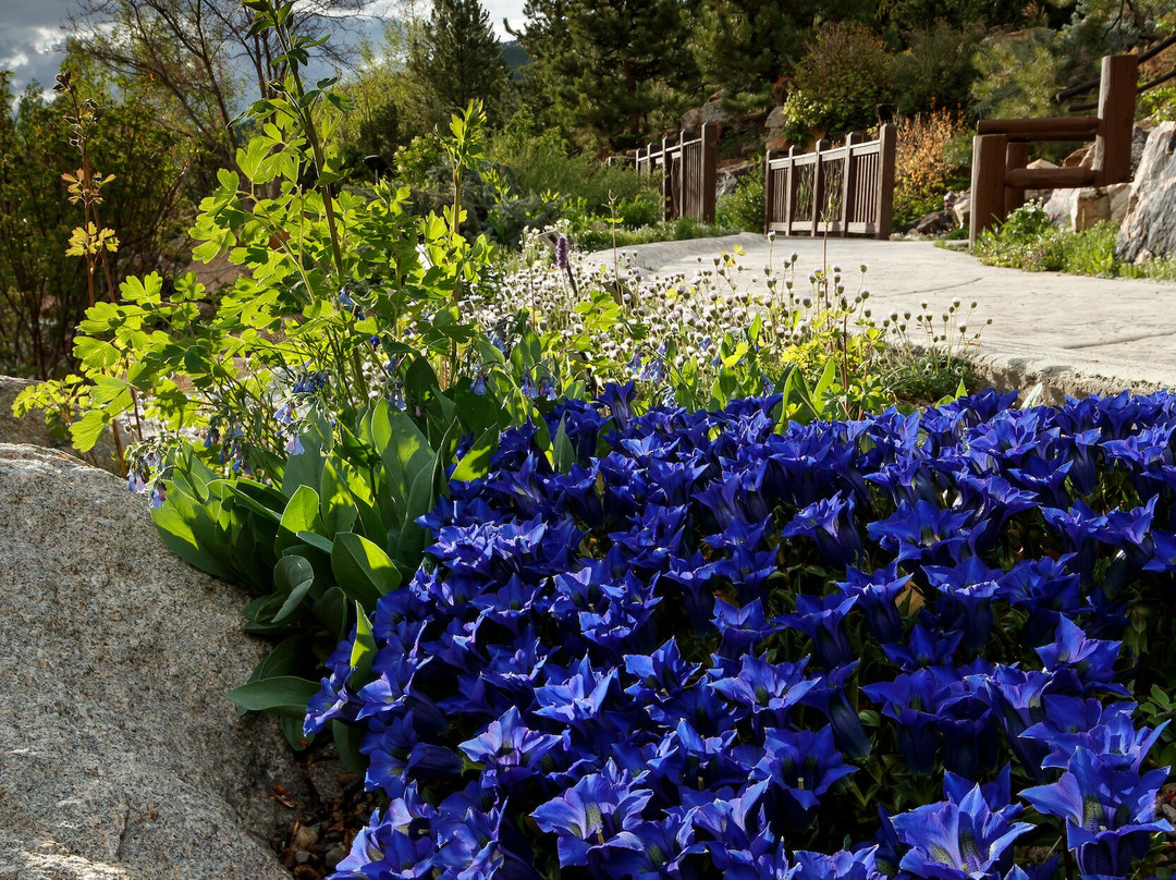 Betty Ford Alpine Gardens-韦尔必去景点