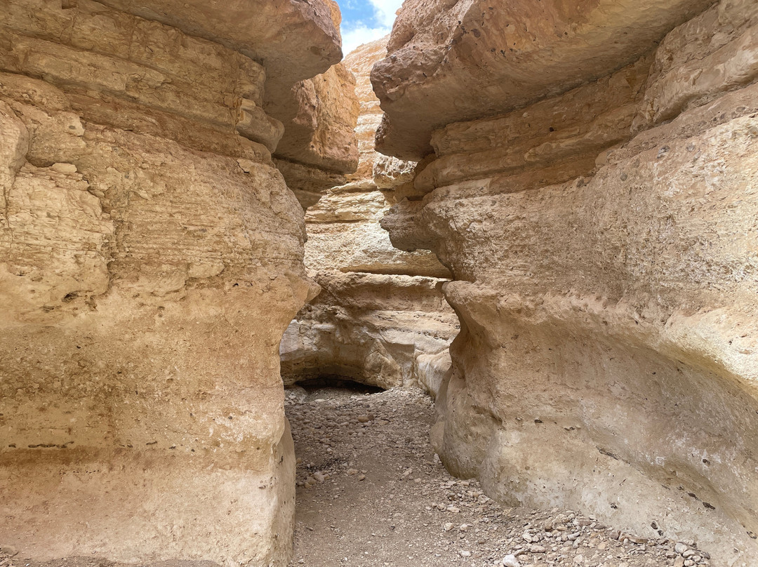 Tamerza Canyon-吐泽尔必去景点