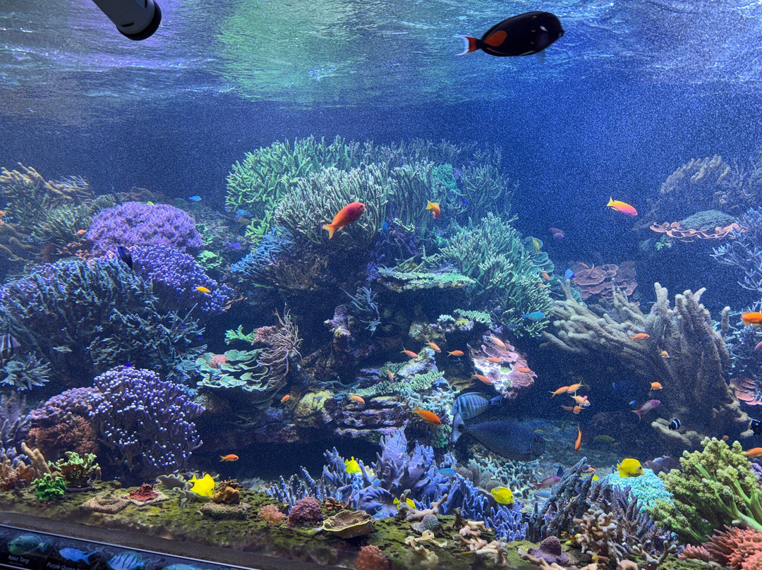 Long Island Aquarium-Riverhead必去景点